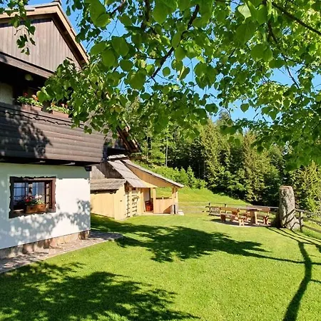 House Zvan Na Pokljuki Tatil Evi Bohinj