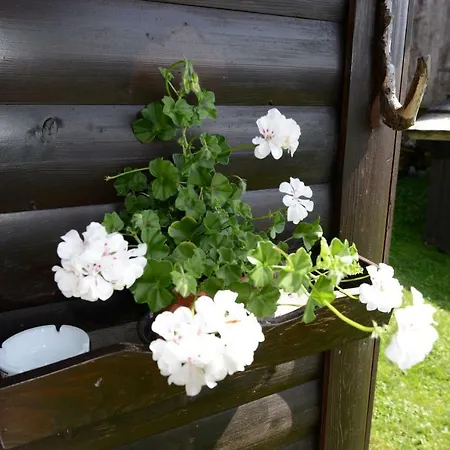 House Zvan Na Pokljuki *