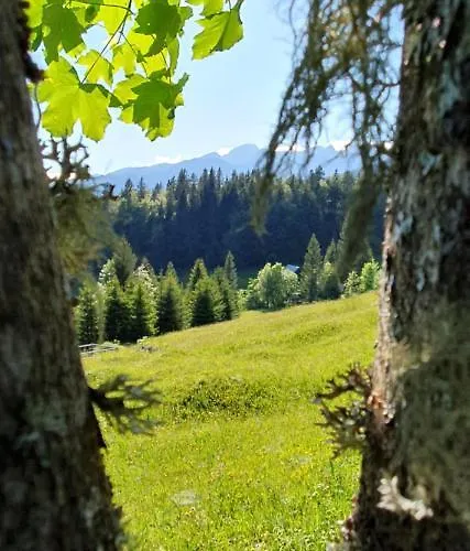 Σπίτι διακοπών House Zvan Na Pokljuki *