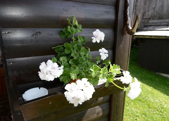 House Zvan Na Pokljuki *